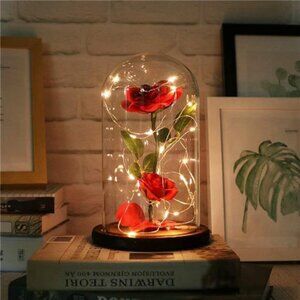 Beauty and The Beast Rose Flowers,Women Gifts Idea Birthday, Unique Gifts
